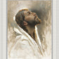 Beloved Son