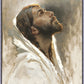 Beloved Son