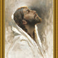 Beloved Son