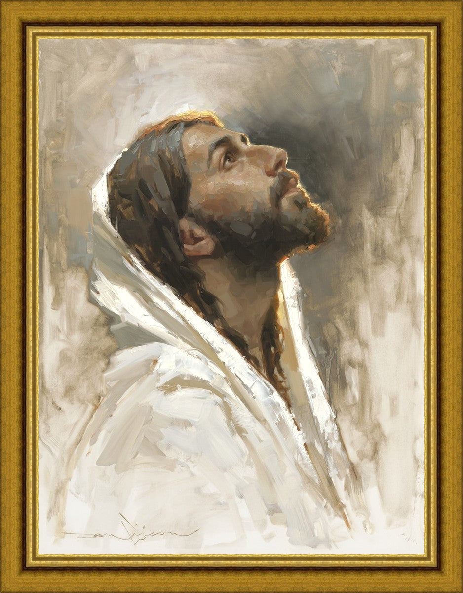 Beloved Son