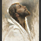 Beloved Son