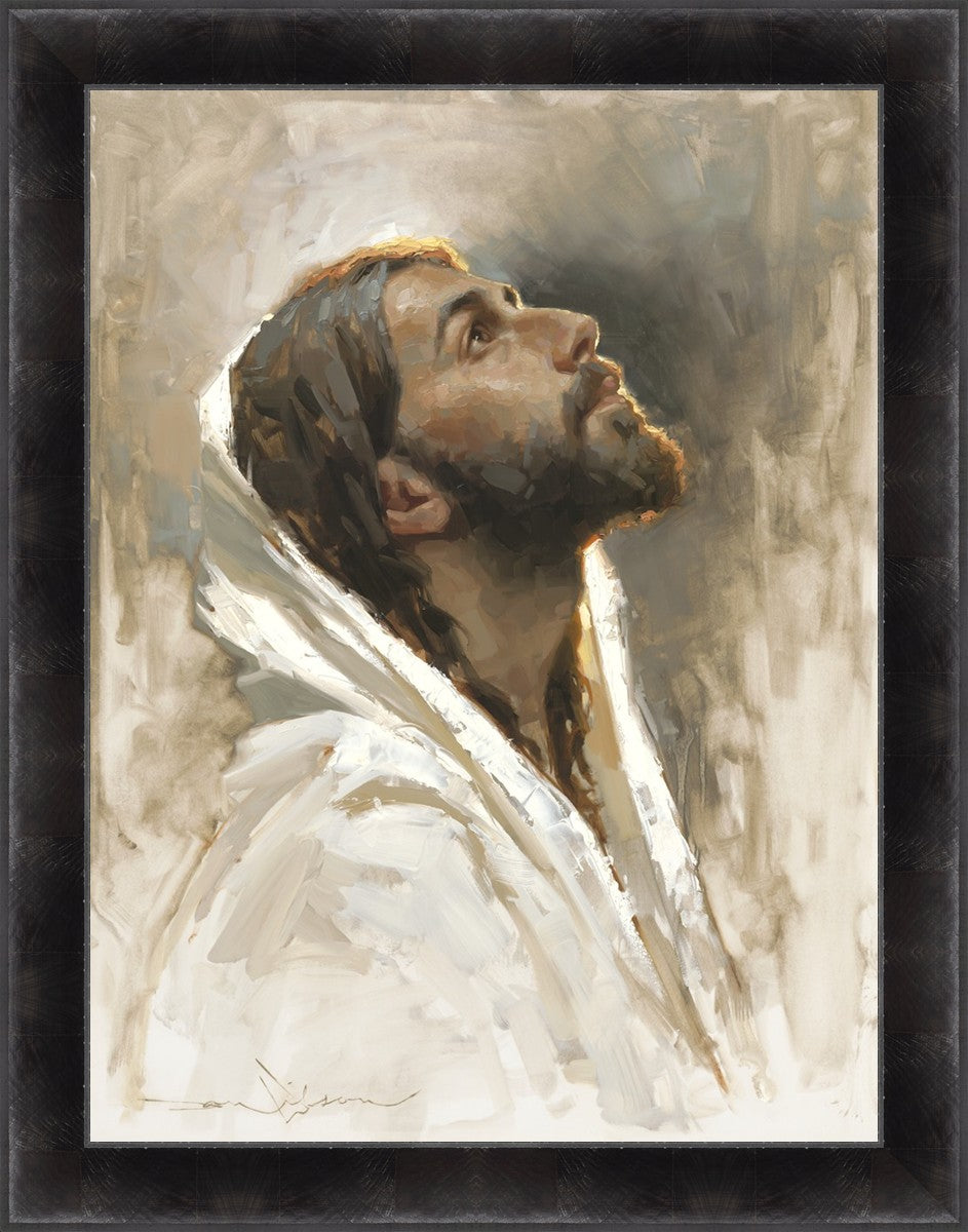 Beloved Son