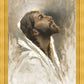 Beloved Son