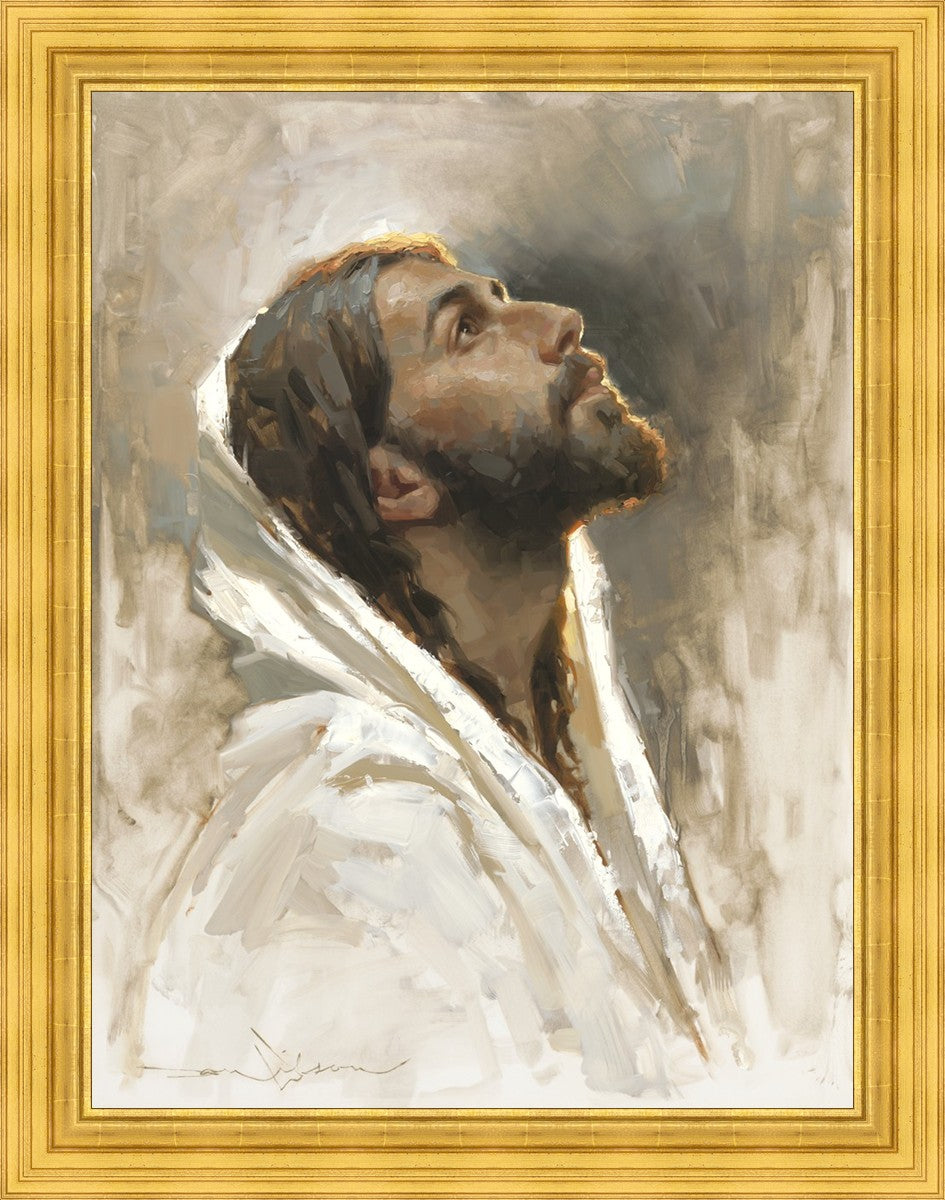 Beloved Son