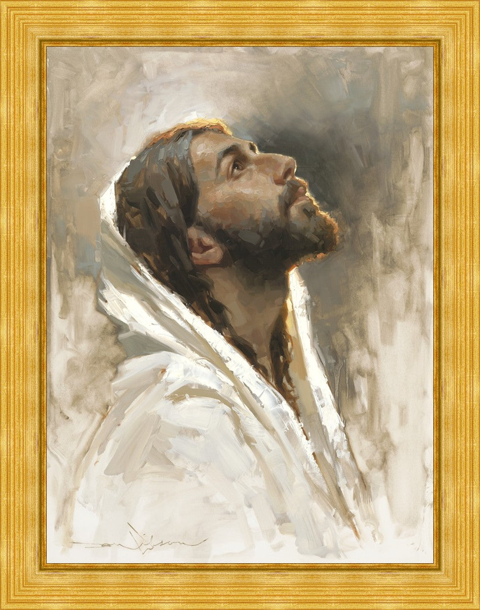 Beloved Son