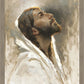 Beloved Son
