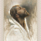 Beloved Son