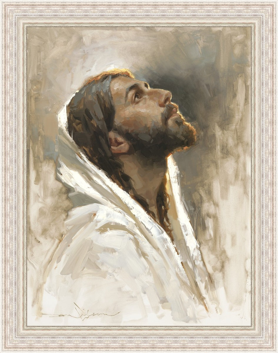 Beloved Son