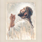The Light of Redemption