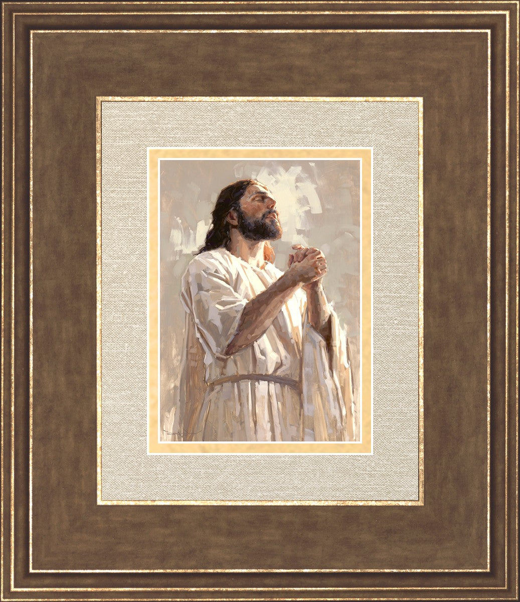 Colors of Salvation
