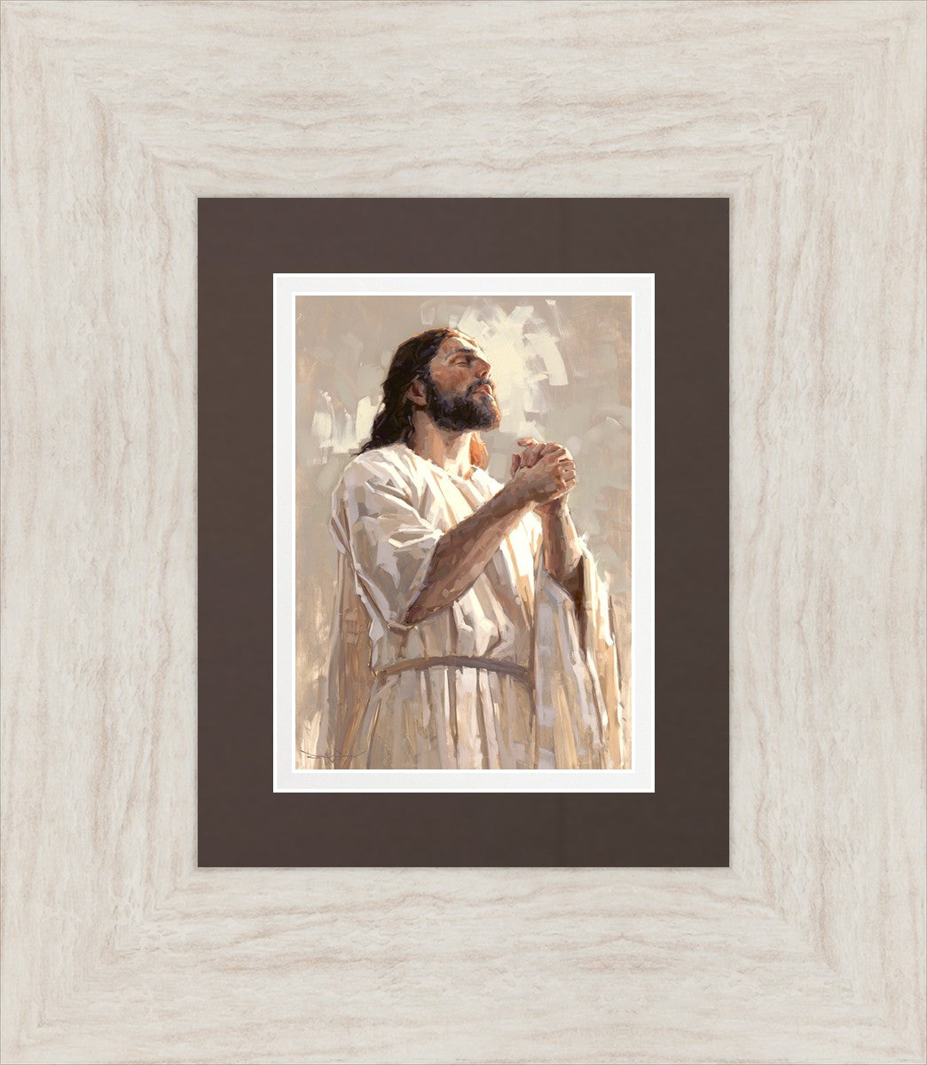 Colors of Salvation