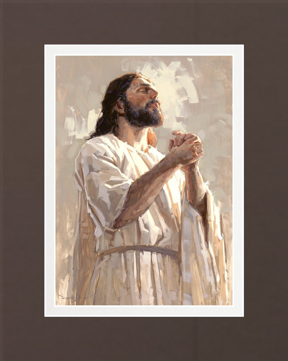 Colors of Salvation