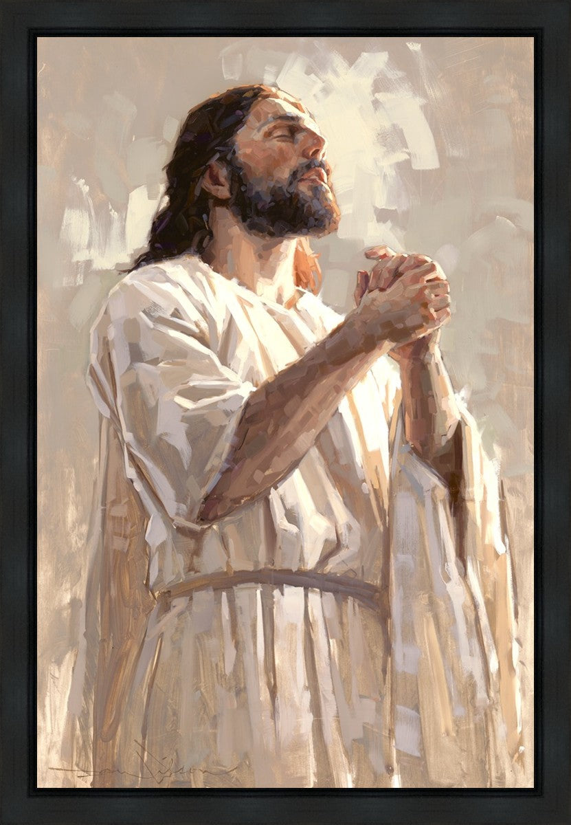 Colors of Salvation
