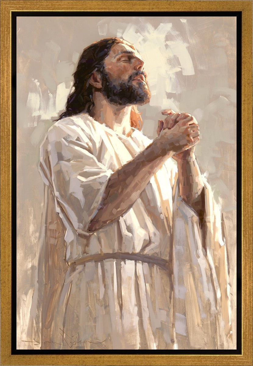 Colors of Salvation