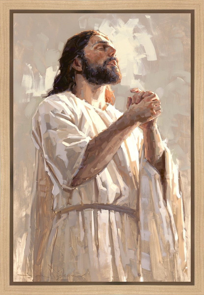 Colors of Salvation