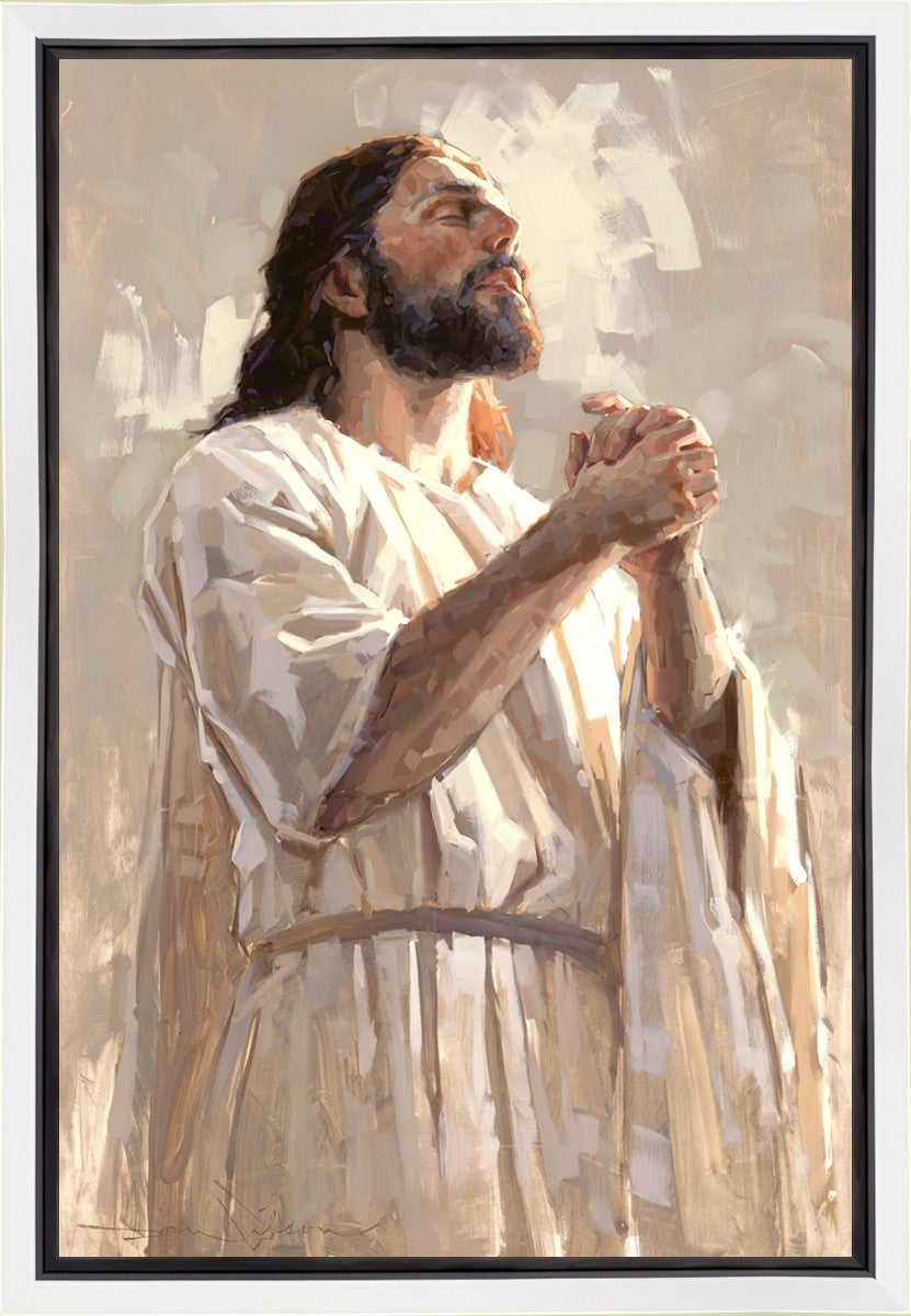 Colors of Salvation