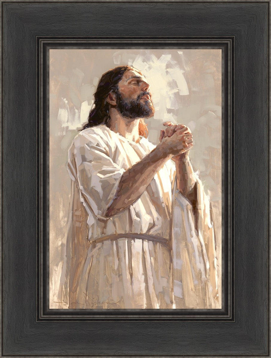 Colors of Salvation