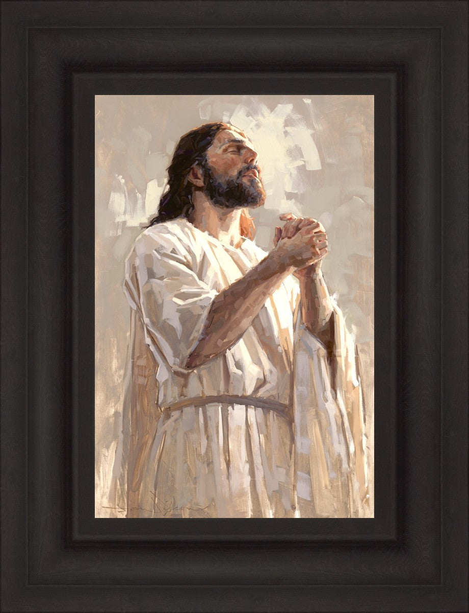 Colors of Salvation