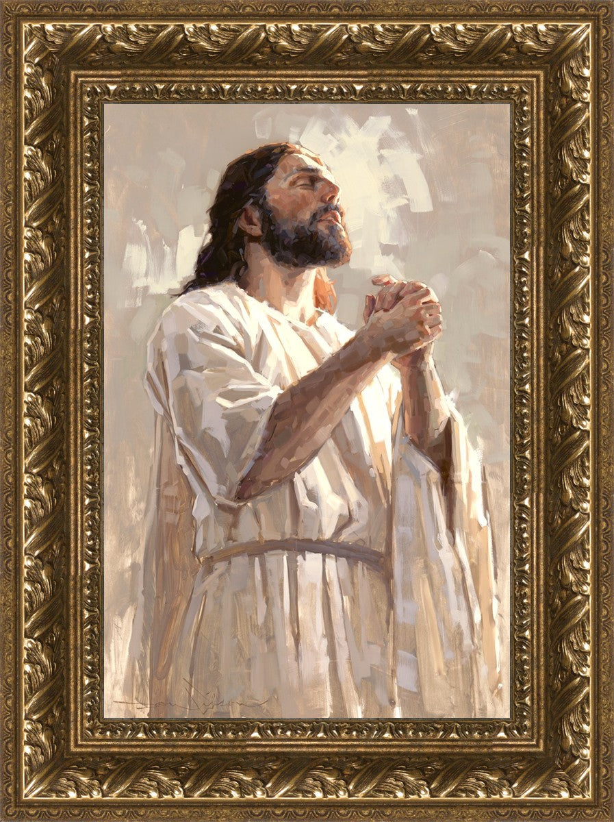 Colors of Salvation