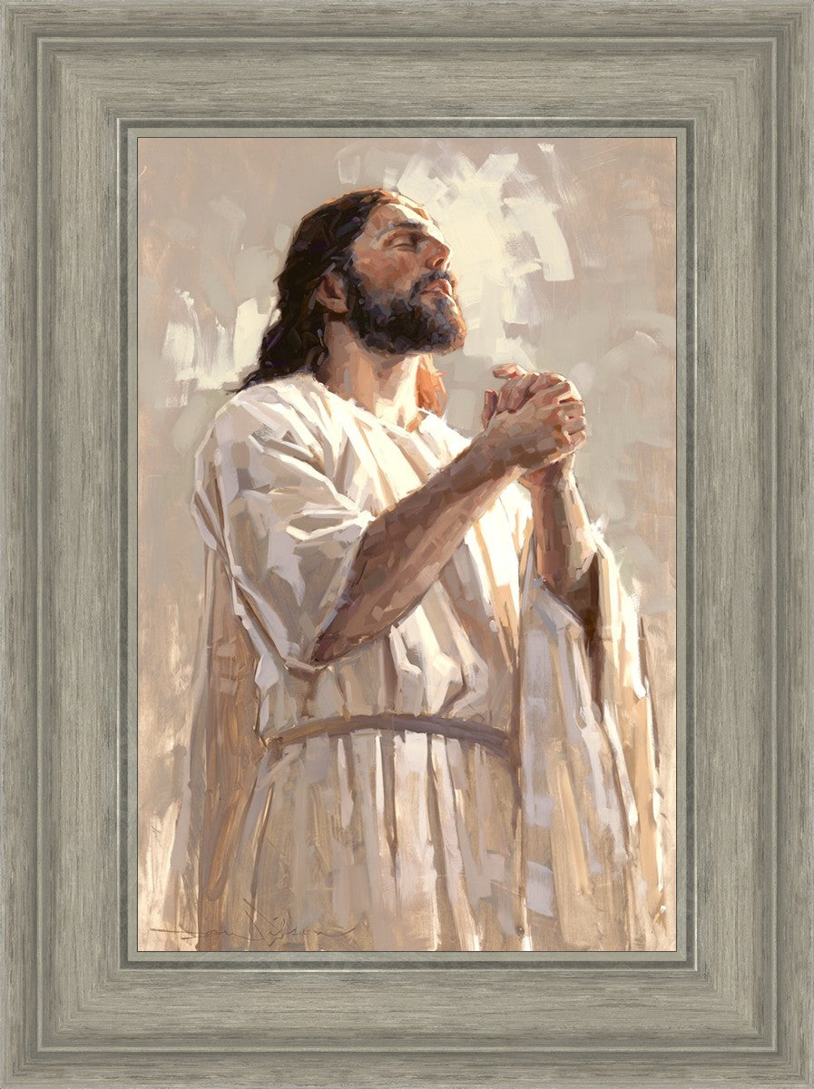 Colors of Salvation