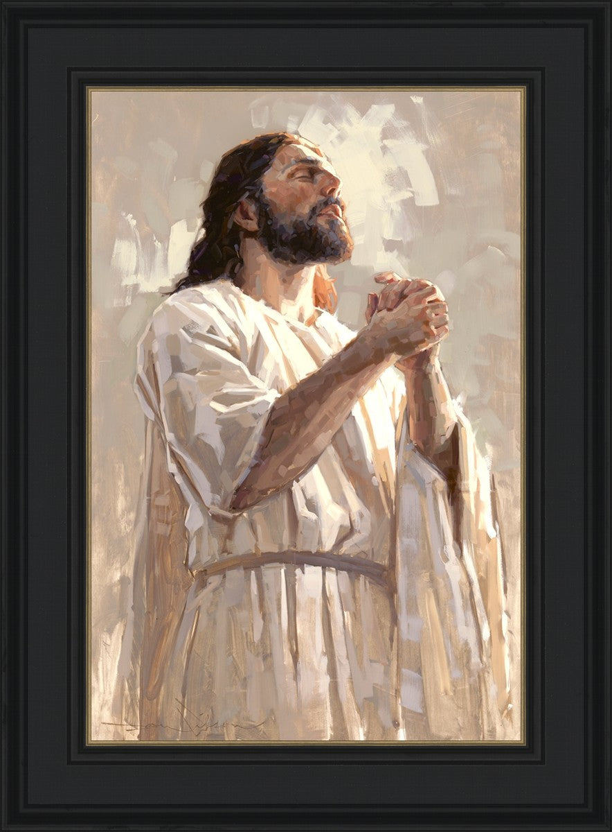 Colors of Salvation