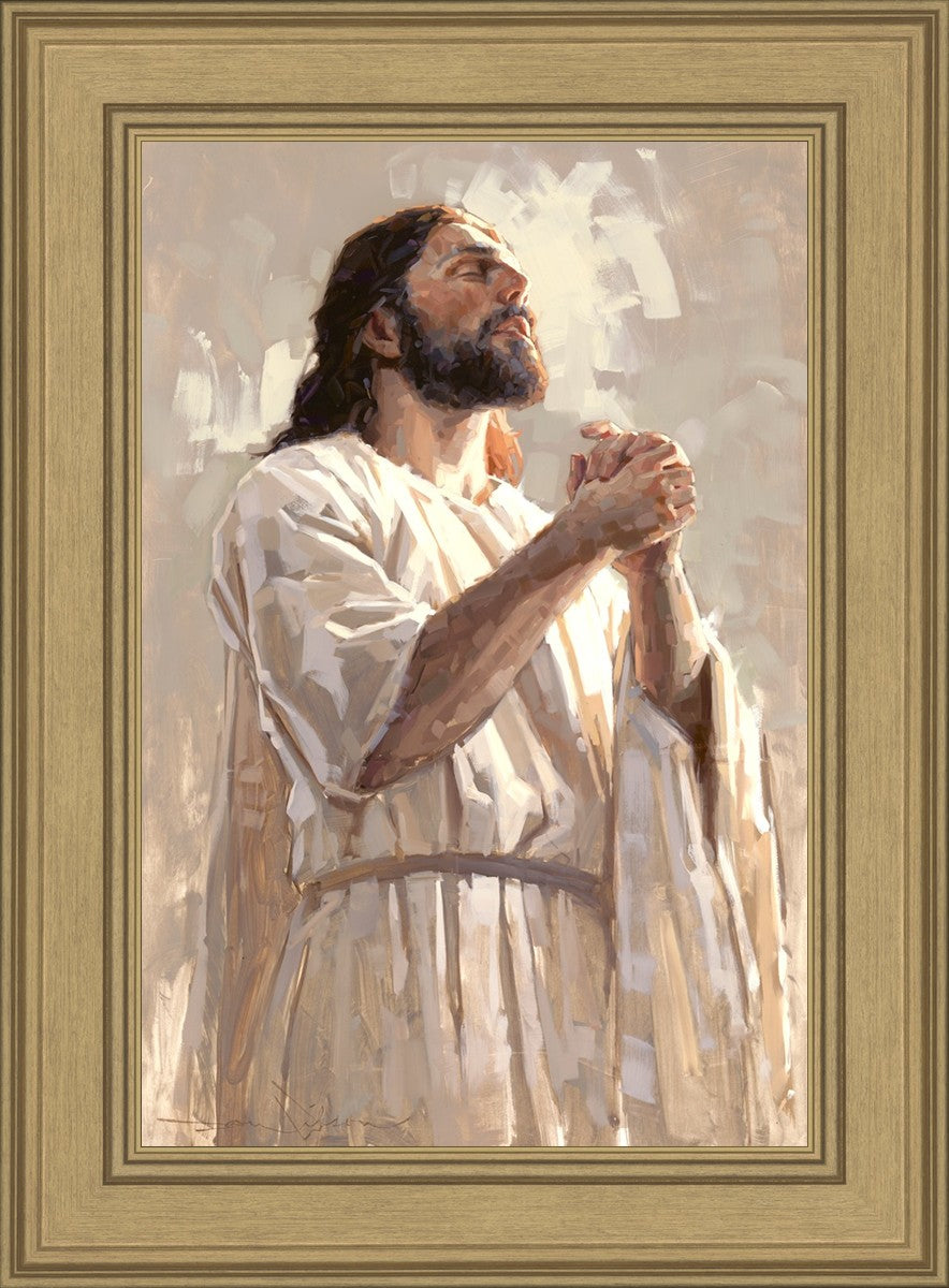 Colors of Salvation