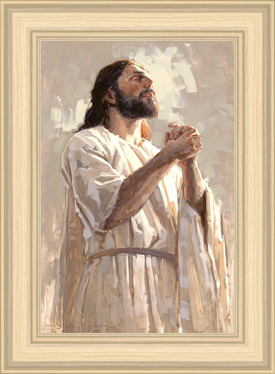 Colors of Salvation