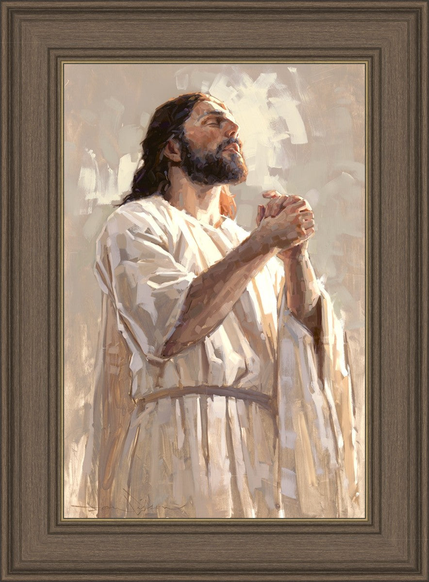 Colors of Salvation