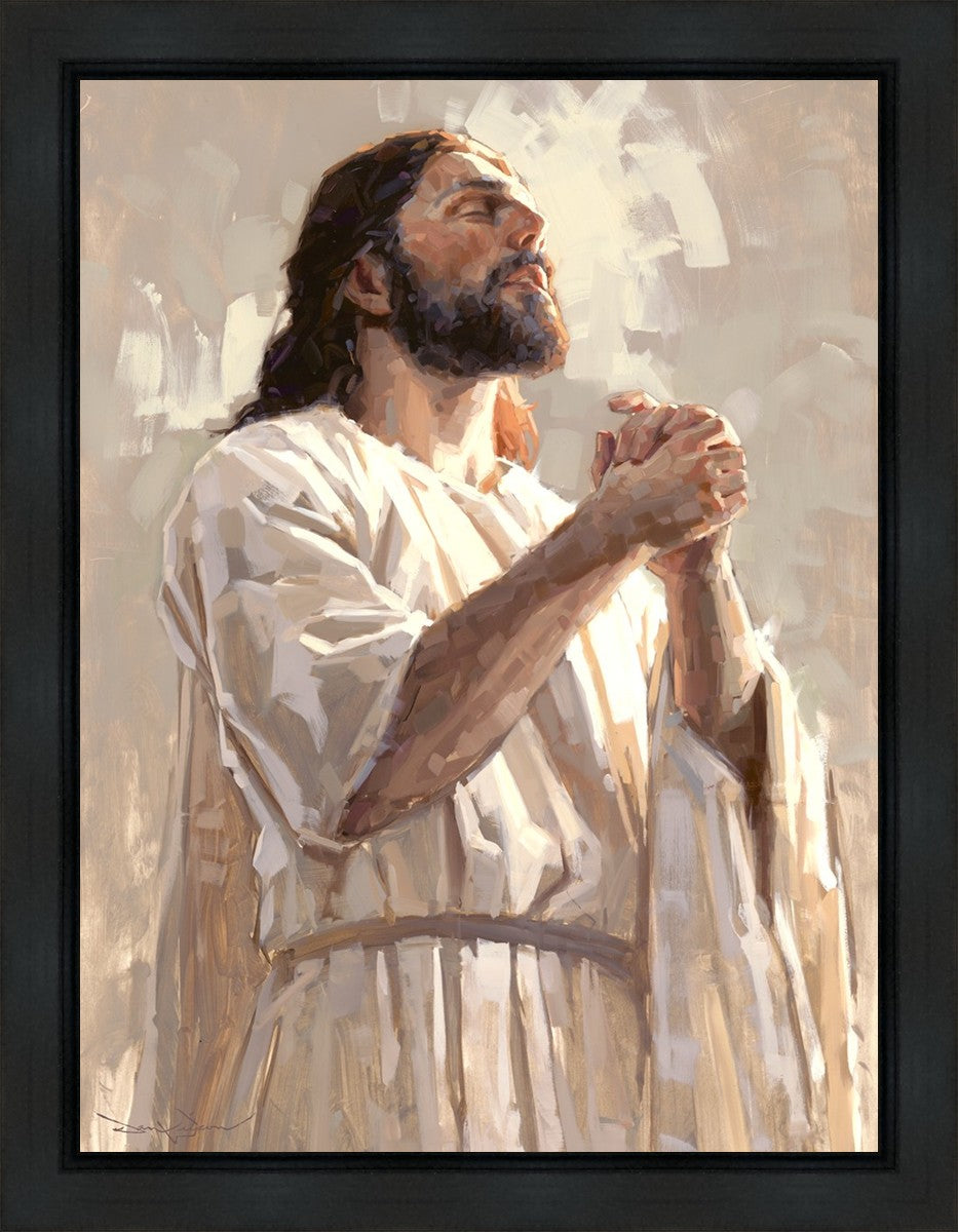 Colors of Salvation