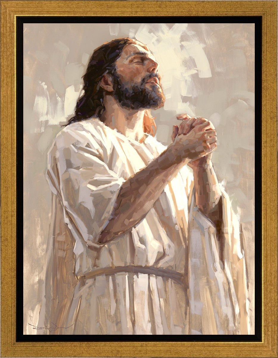 Colors of Salvation