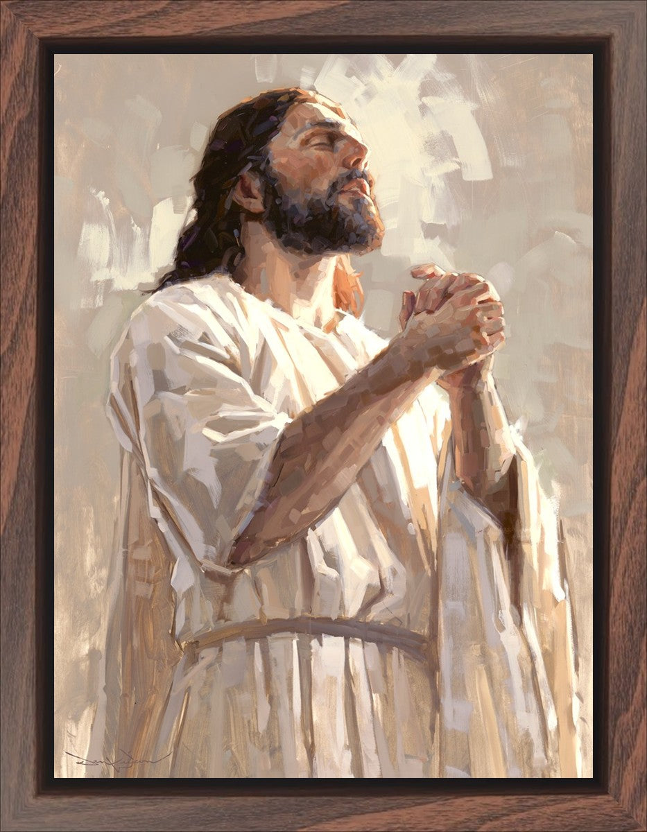 Colors of Salvation