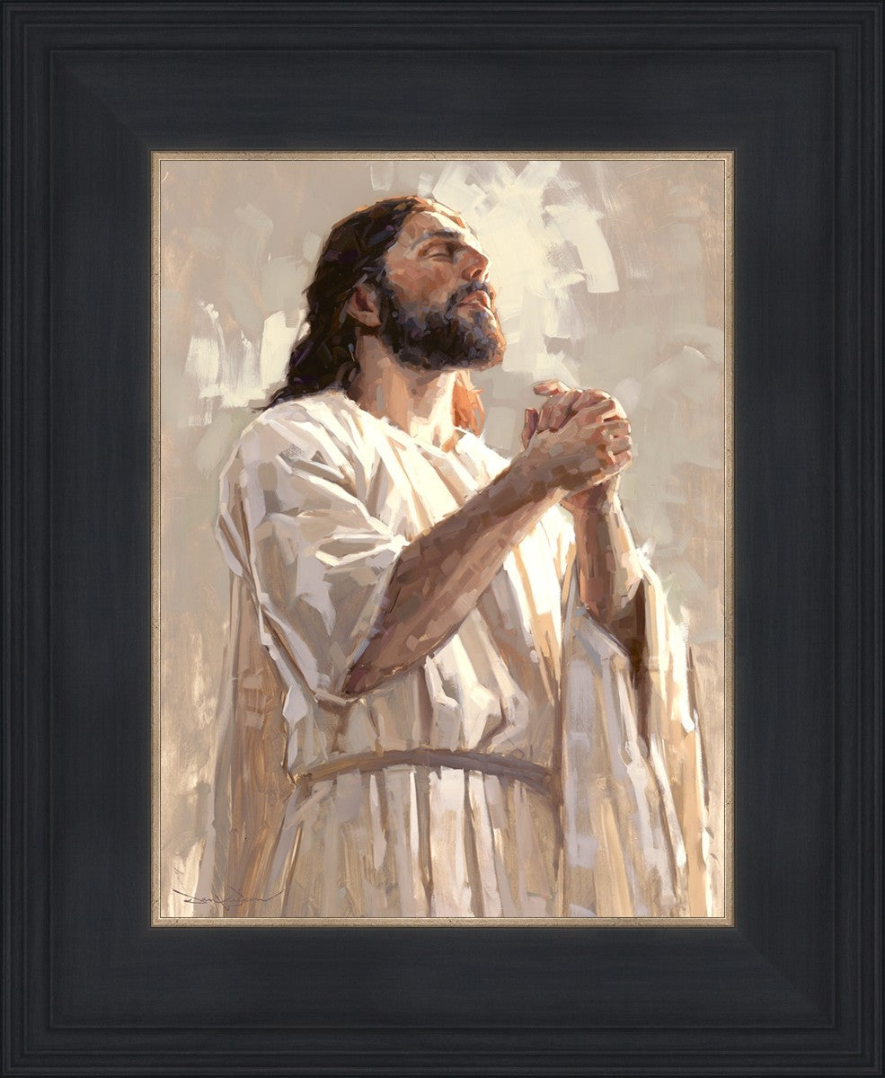 Colors of Salvation