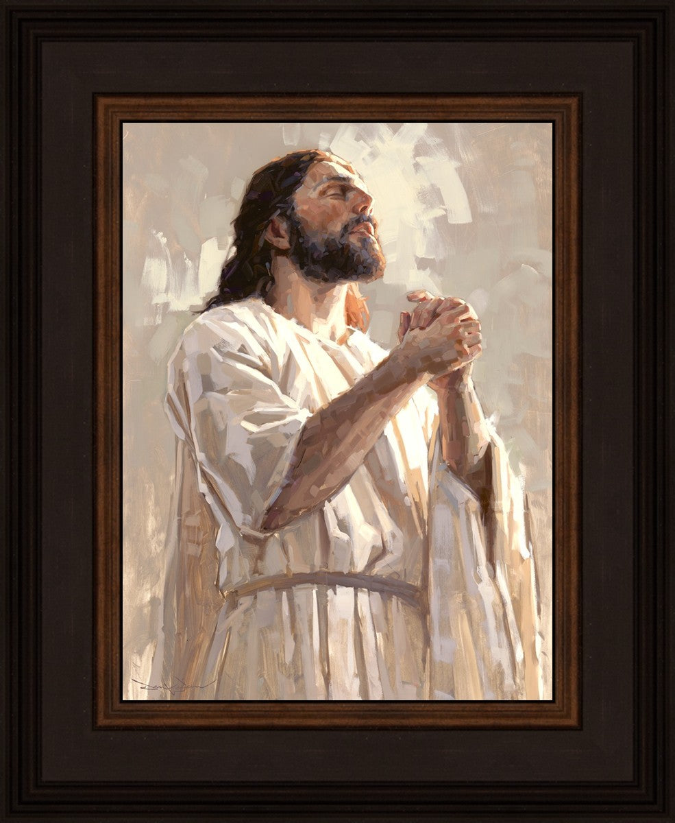 Colors of Salvation