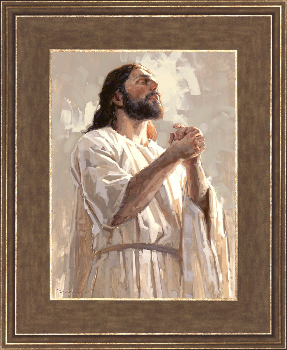 Colors of Salvation