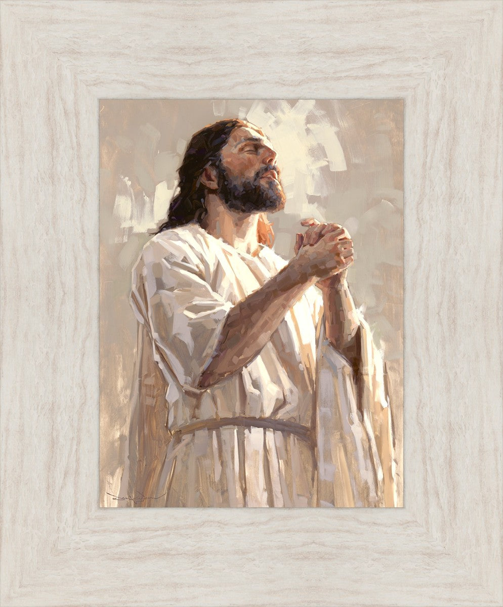 Colors of Salvation