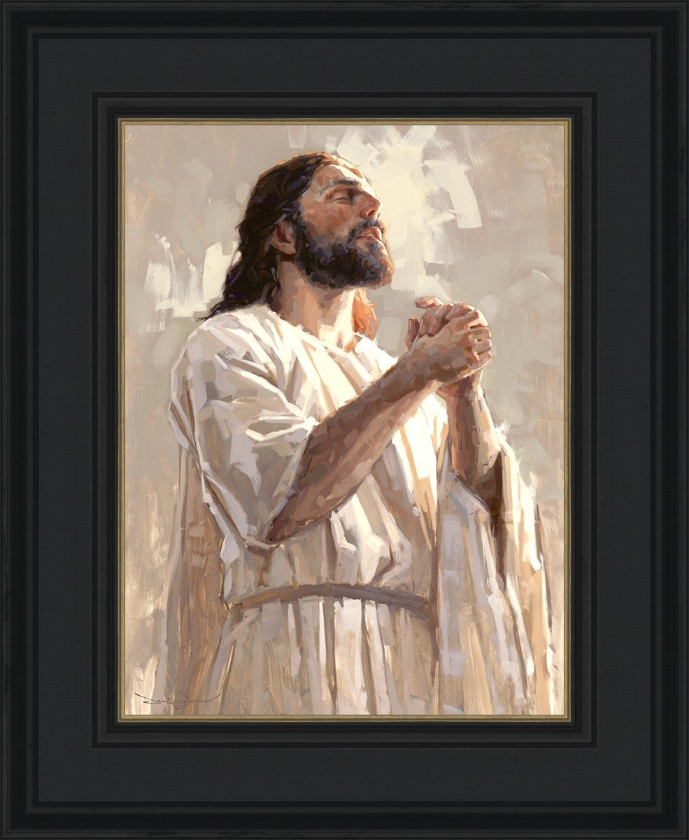 Colors of Salvation