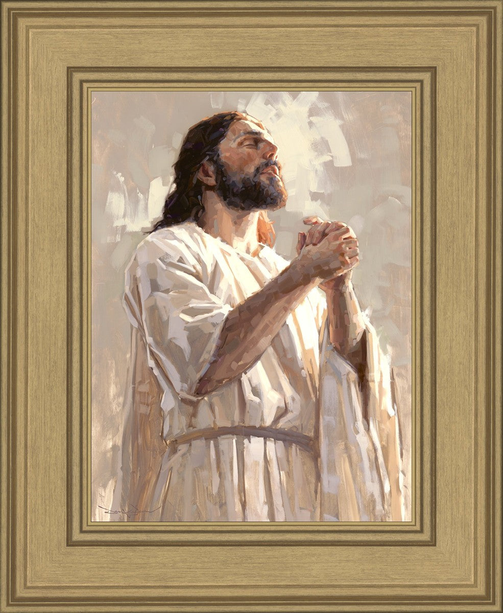 Colors of Salvation