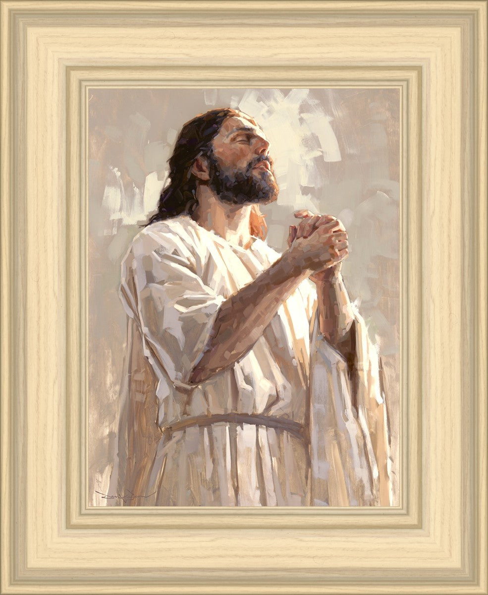 Colors of Salvation