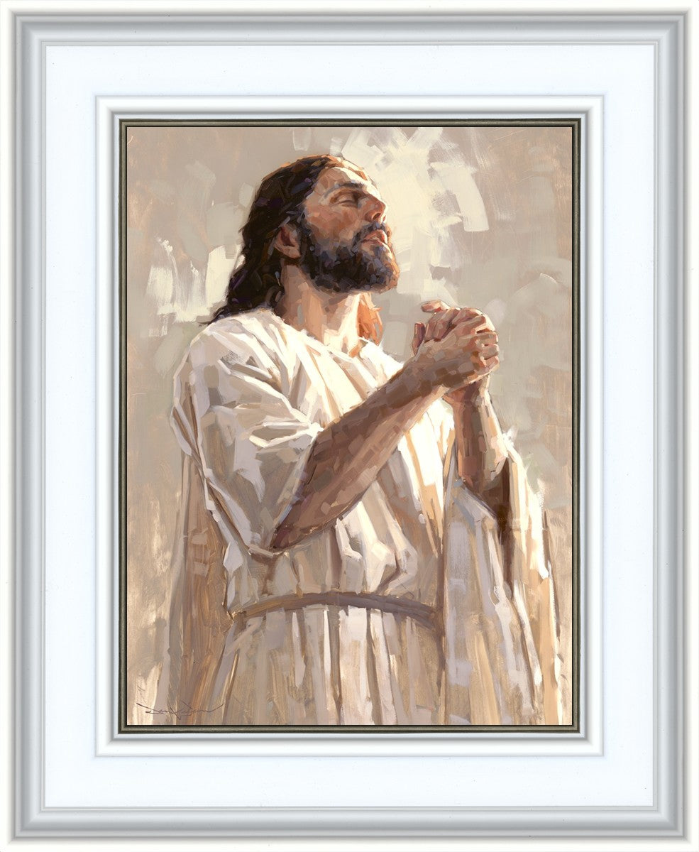 Colors of Salvation