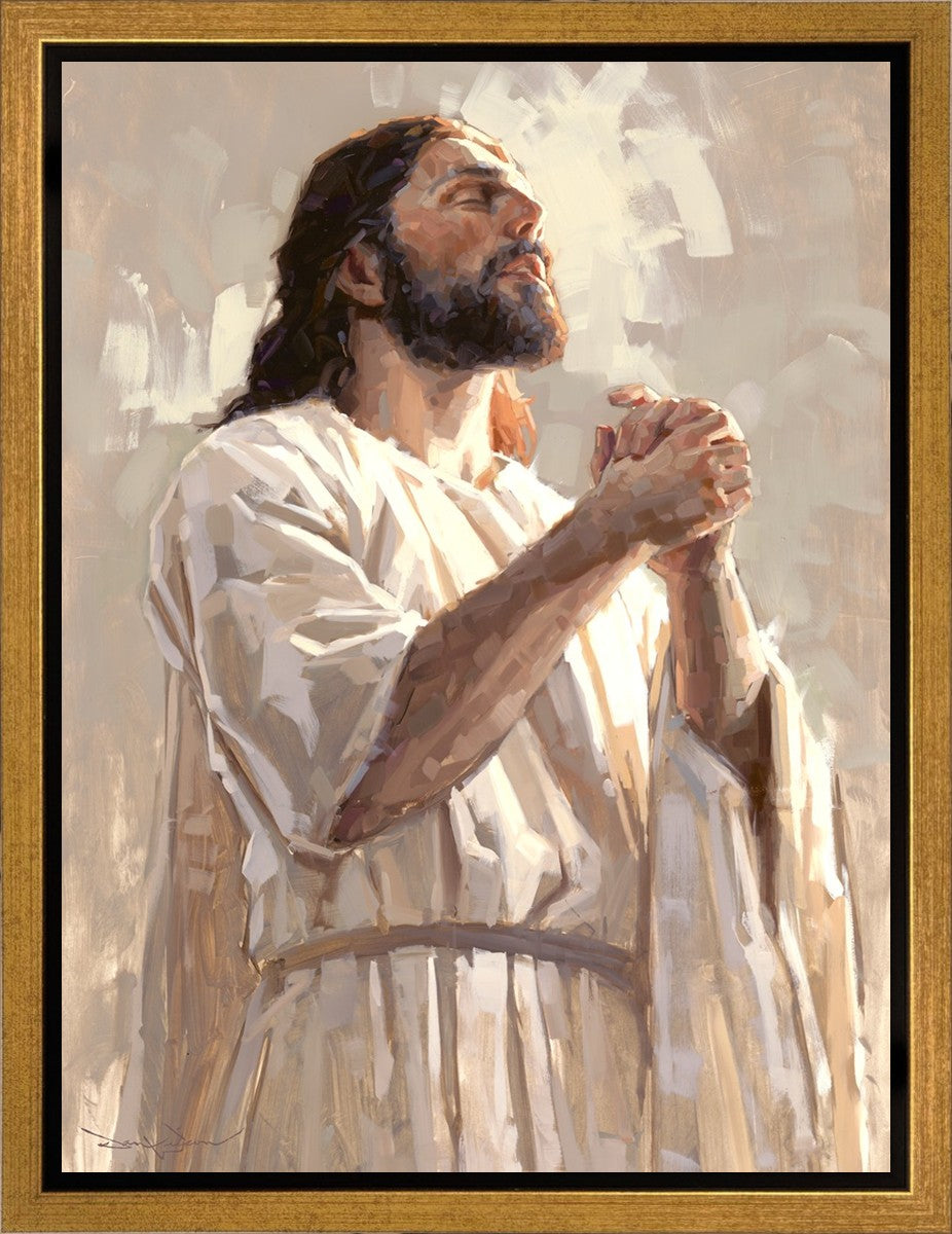 Colors of Salvation
