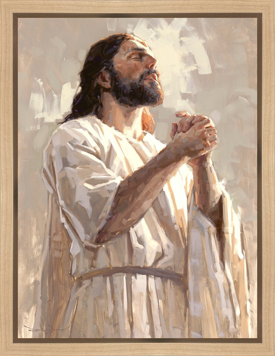 Colors of Salvation
