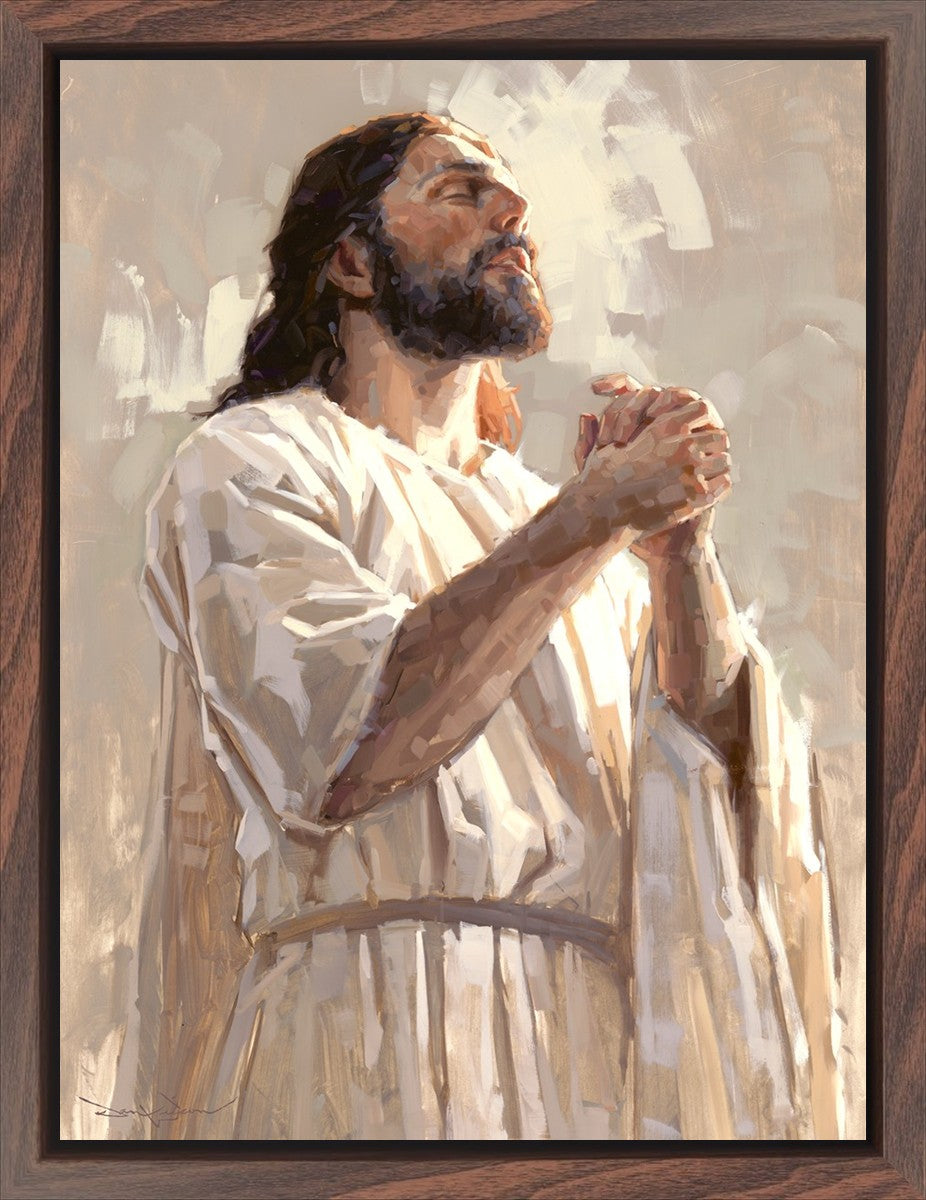 Colors of Salvation