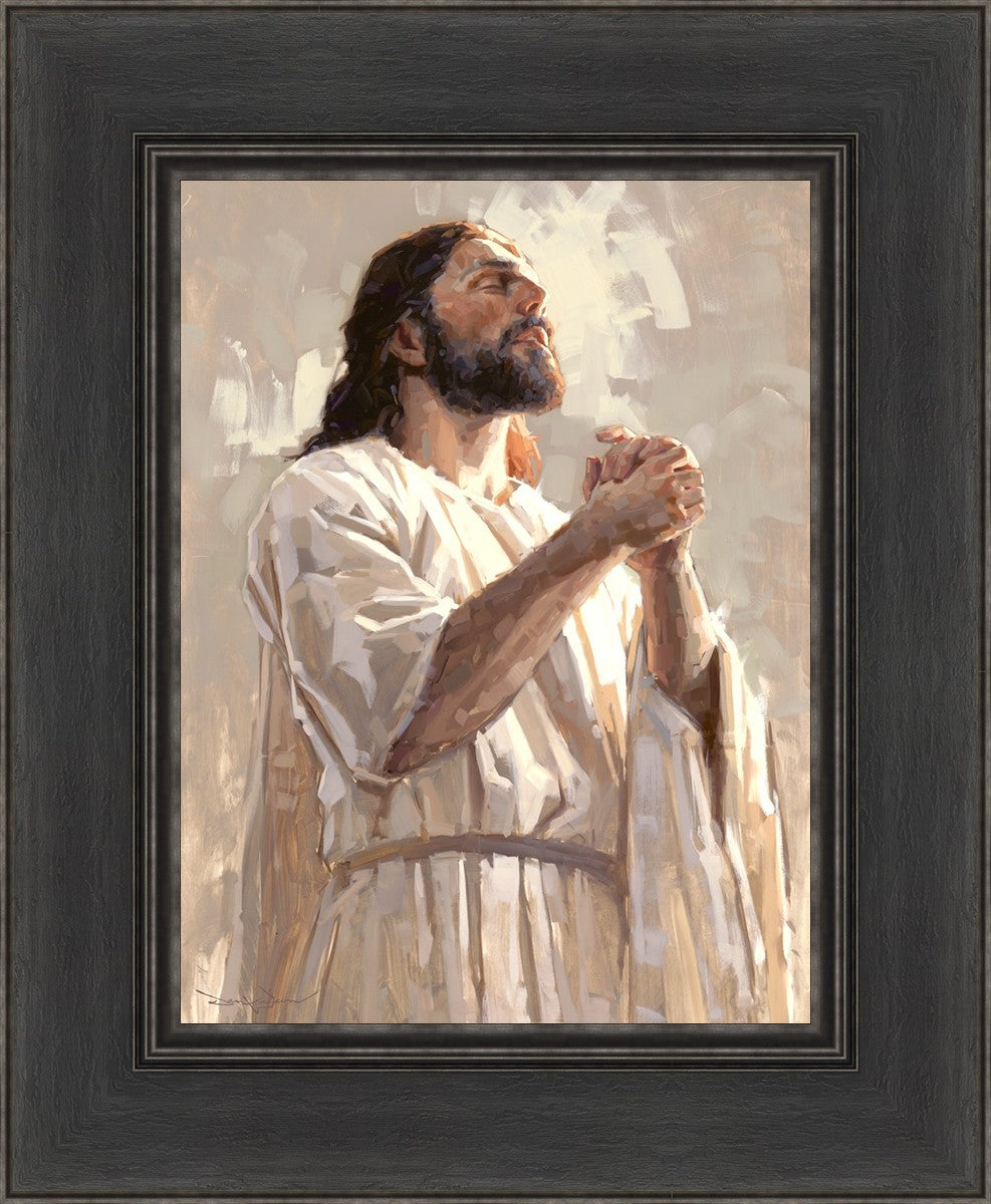 Colors of Salvation