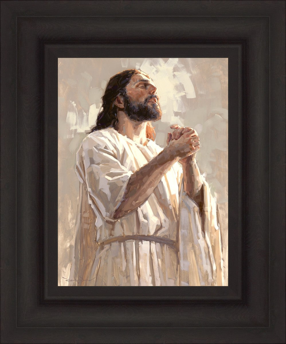 Colors of Salvation