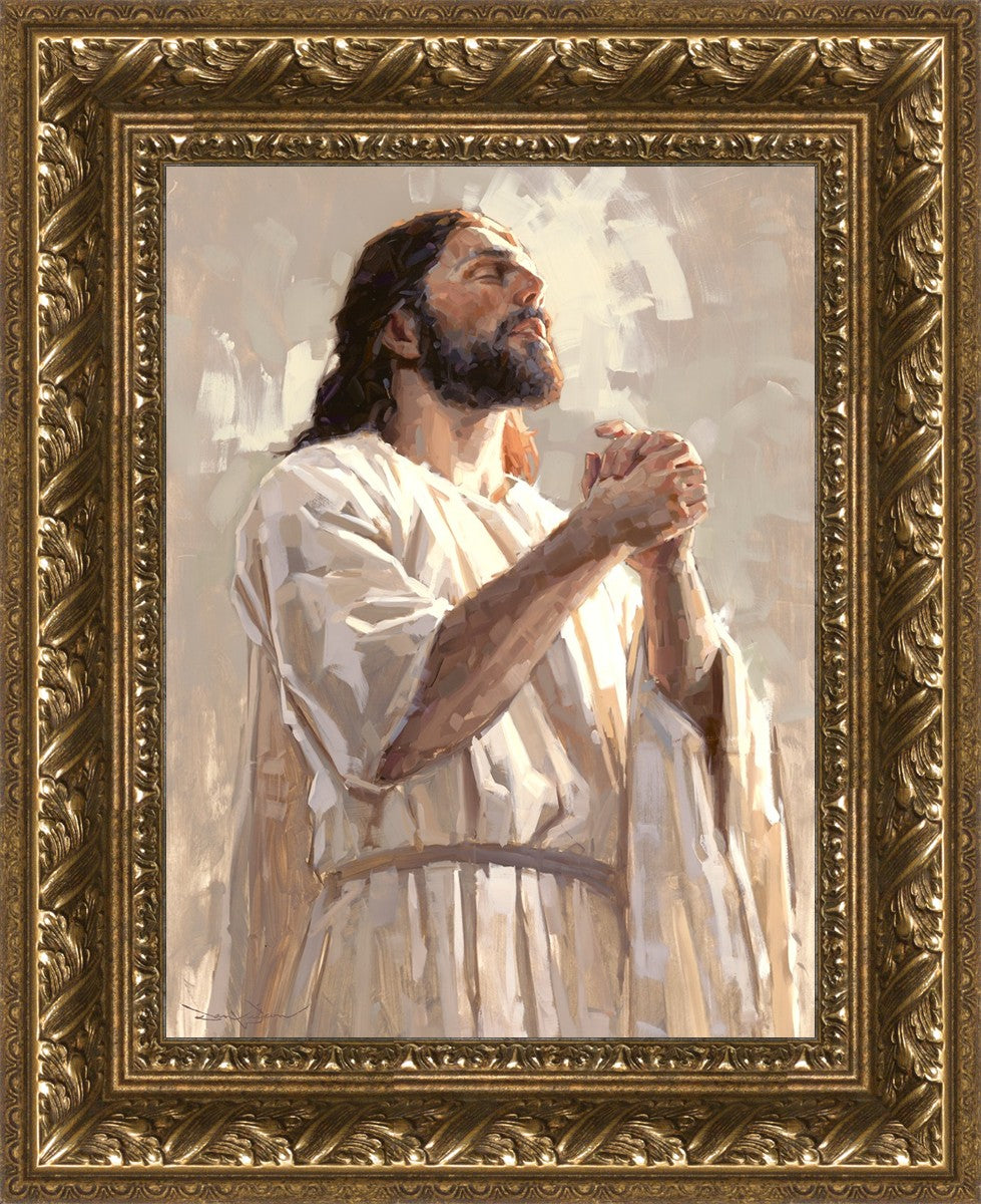 Colors of Salvation
