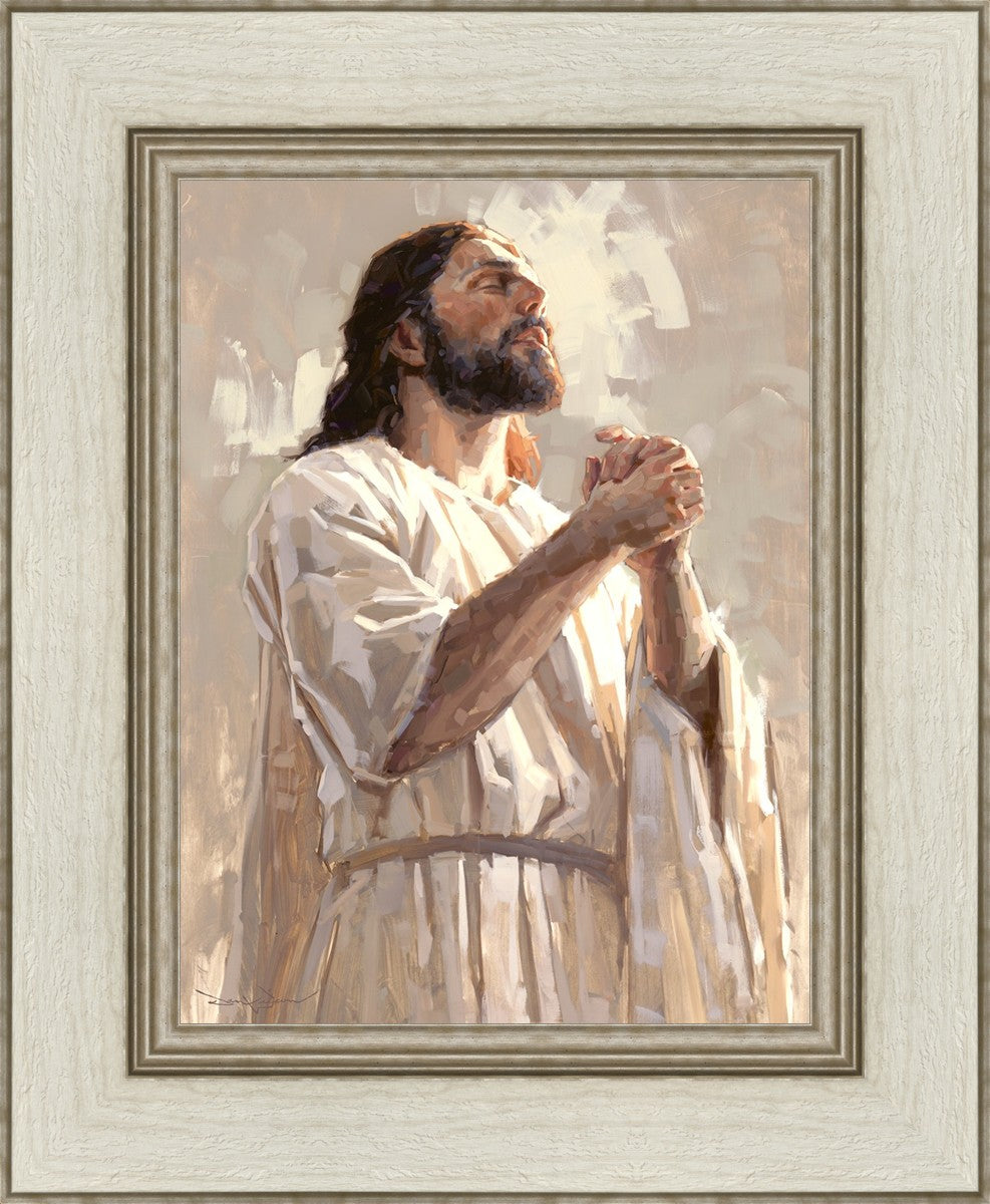 Colors of Salvation