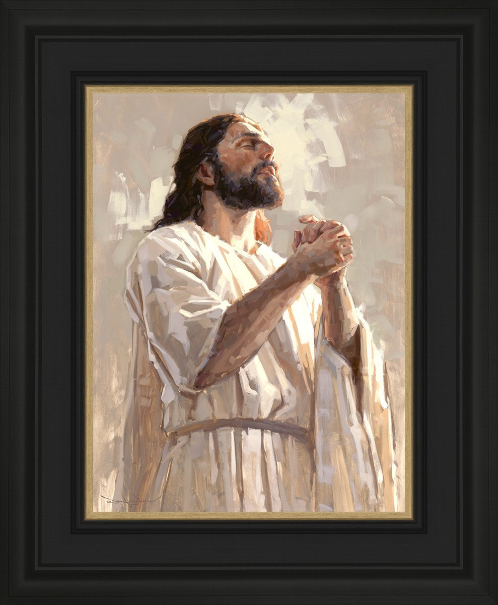 Colors of Salvation