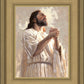 Colors of Salvation