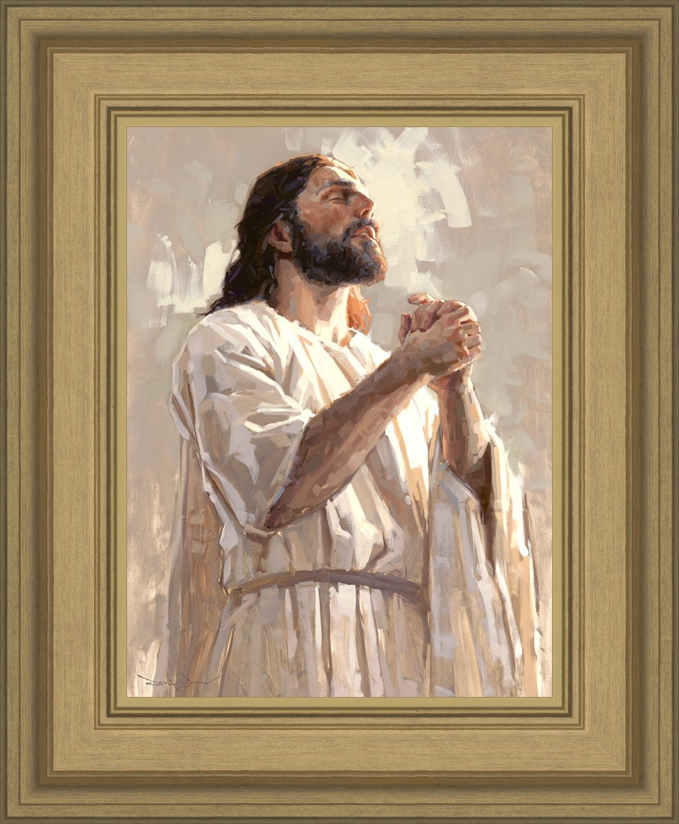 Colors of Salvation