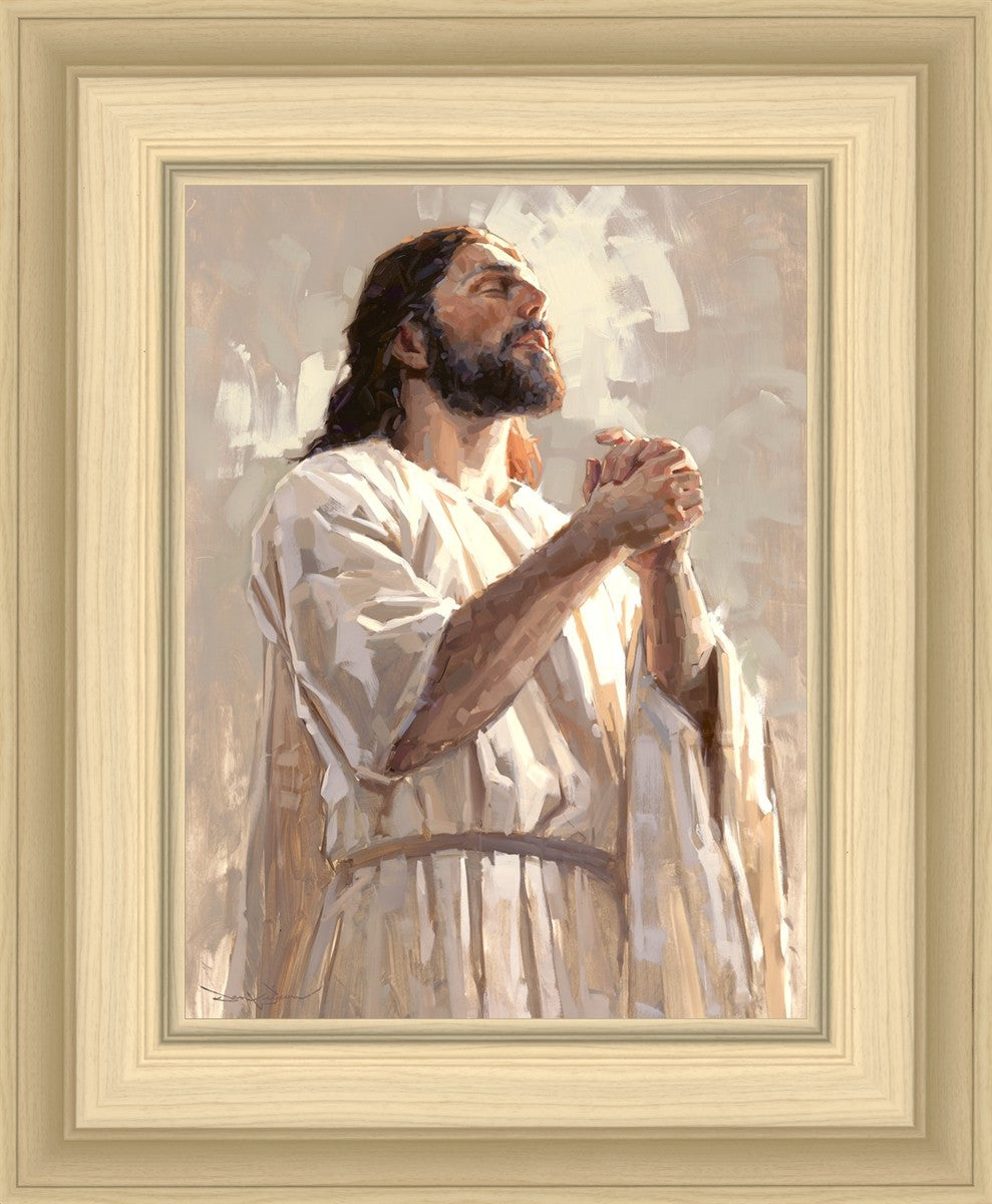 Colors of Salvation